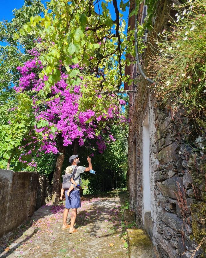 Albergue Out Of Town Castelo de Paiva Exterior foto